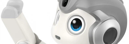 ZKN-congres 2025: ontmoet de robots van morgen!