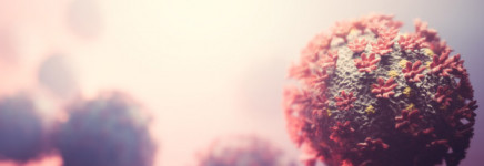 ZBC-regeling 2021 geactualiseerd