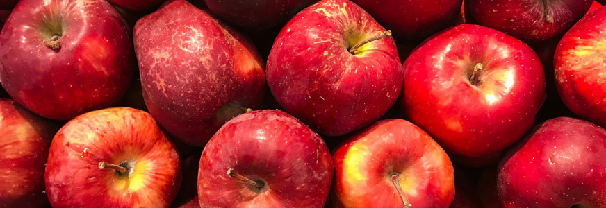 Leefstijlcoalitiedag 7 oktober: van Inspiratie naar Implementatie