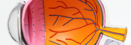 Publicatie Verbetersignalement Zinnige Zorg Leeftijdsgebonden maculadegeneratie