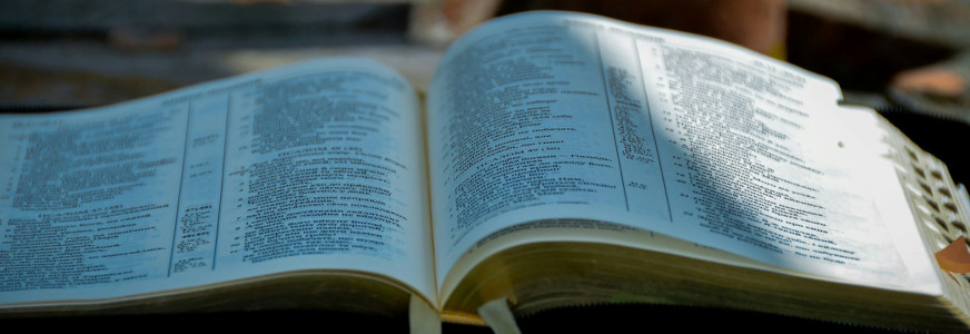 Distributie Factsheet macrokader msz in september