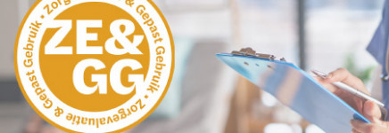 Voortgang ZE&GG programma in beeld - Factsheet