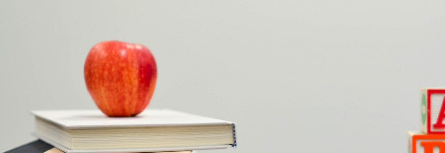 Intervisiesessies (1 op 1) over opleiden in uw kliniek